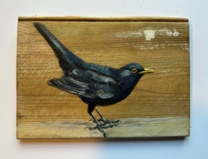 Blackbird study